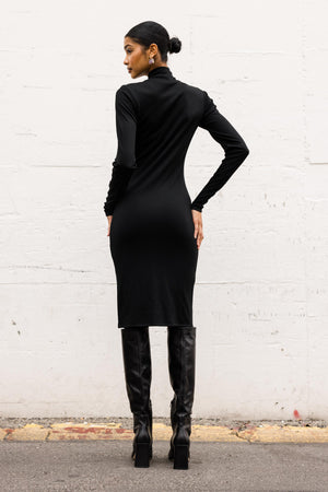 Knee Length Turtleneck Dress in Silk
