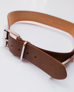 Buckle Belt in Brown