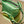 Load image into Gallery viewer, Tiny Moon Bag in Laminated Green
