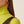Load image into Gallery viewer, Large Neon Orange 18K White Gold Chiara Earrings
